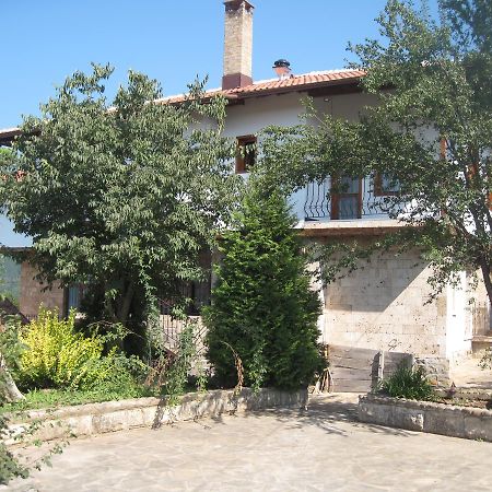 Guest House Galba Bruchkovtsi Bagian luar foto