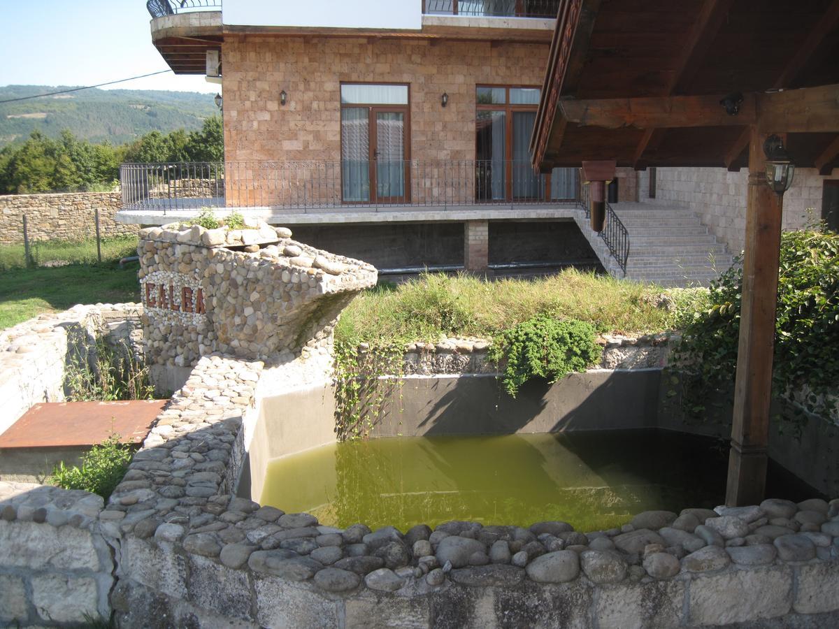 Guest House Galba Bruchkovtsi Bagian luar foto