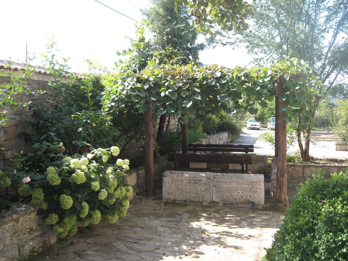 Guest House Galba Bruchkovtsi Bagian luar foto